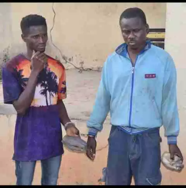 2 Men With 2 Human Wrists Arrested By Ogun State Police (Photo)